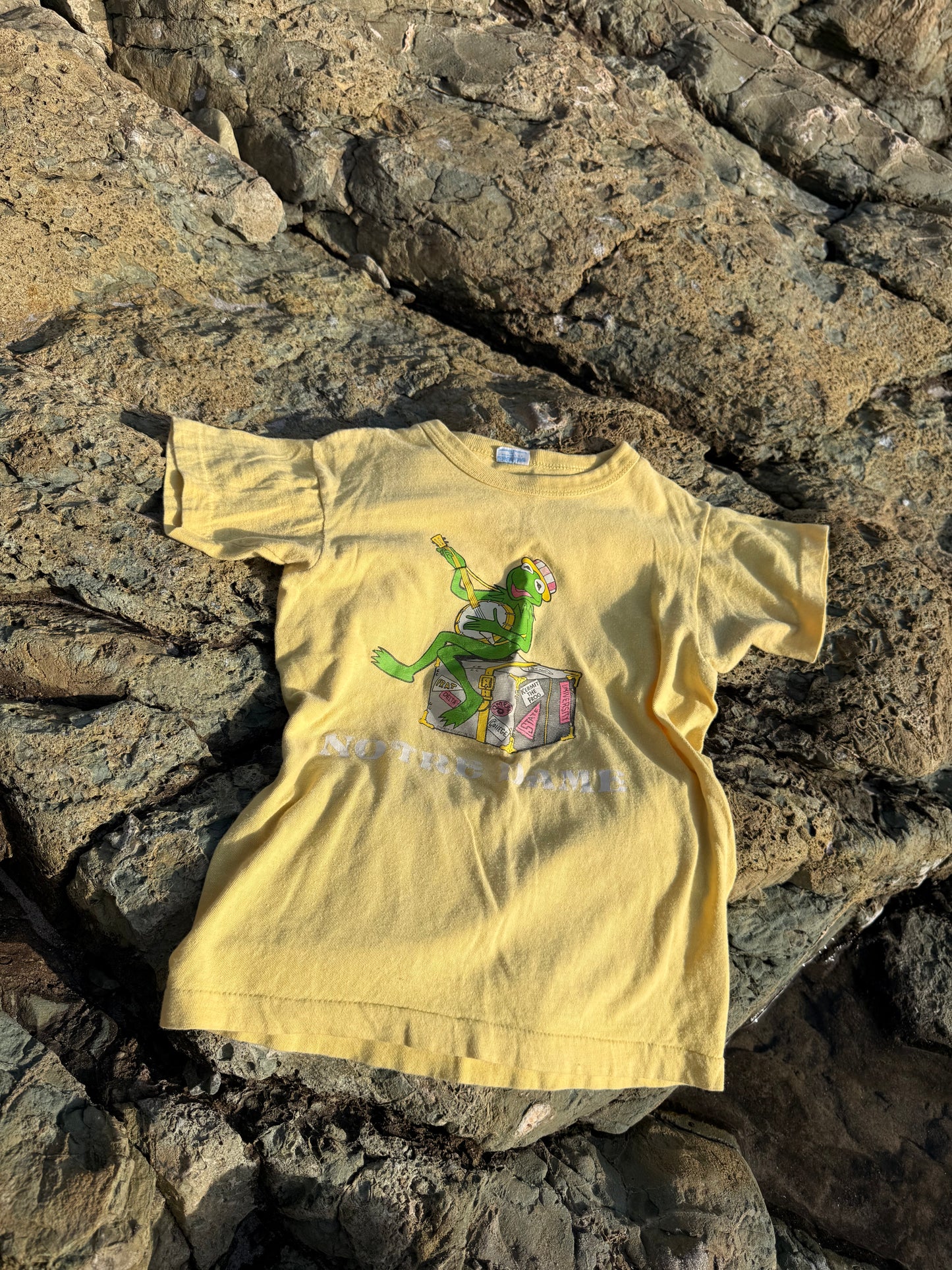 1970s kermit notre dame tee