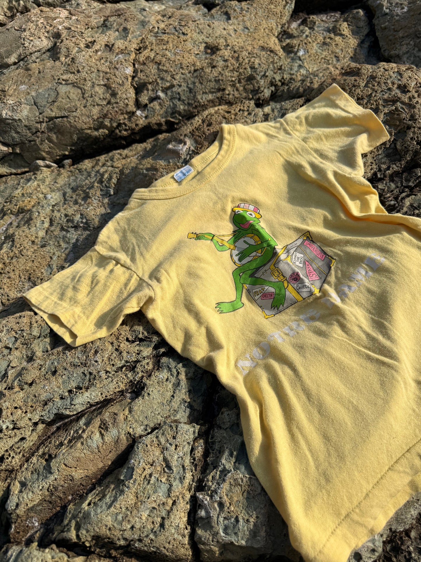 1970s kermit notre dame tee