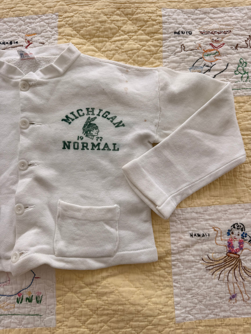 1950s champion michigan normal cardigan sweatshirt