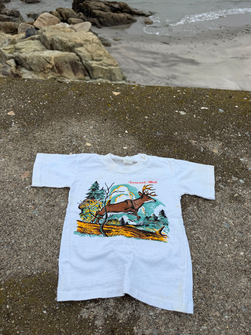 1950s ironwood michigan souvenir tee
