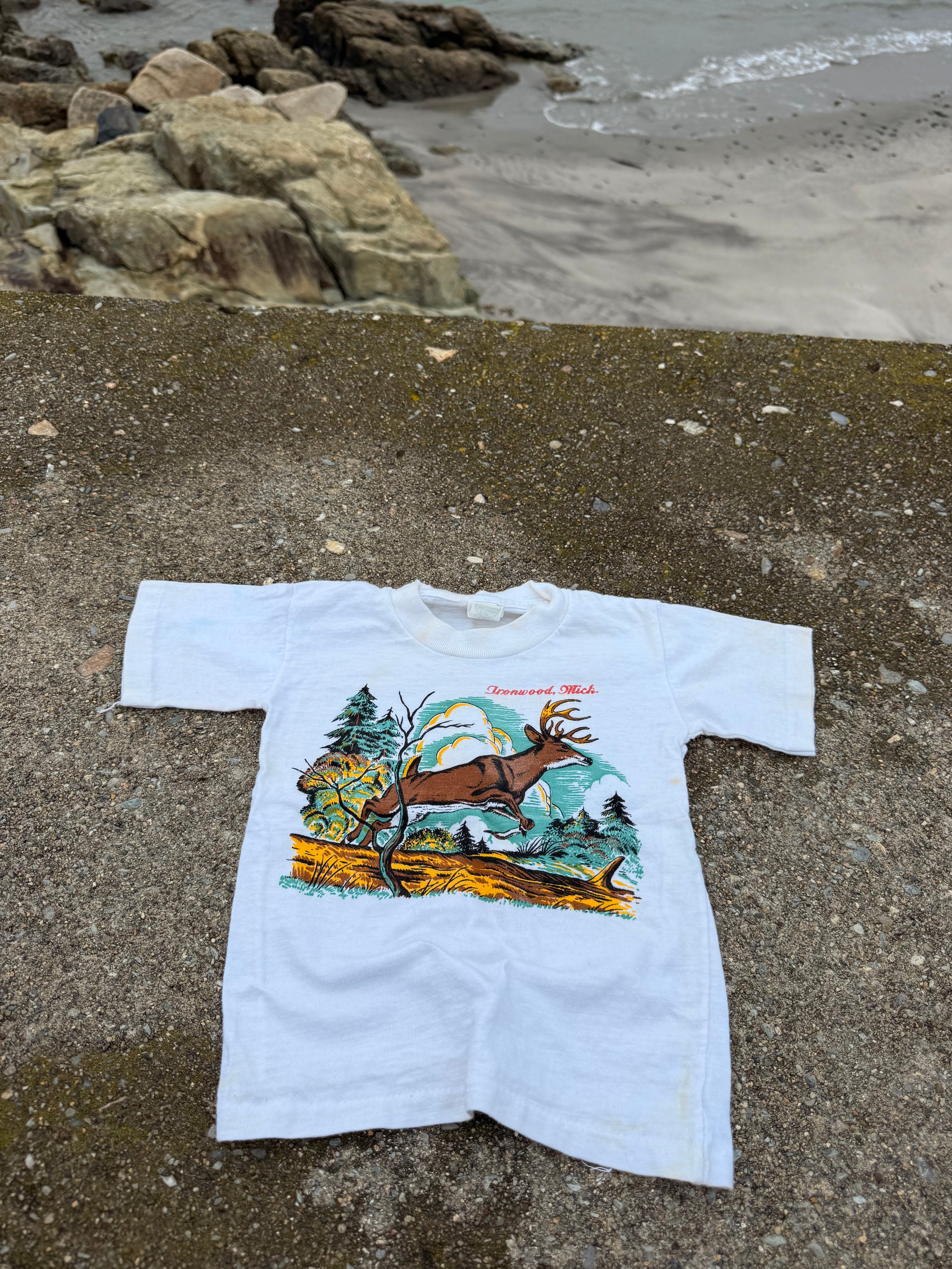 1950s ironwood michigan souvenir tee