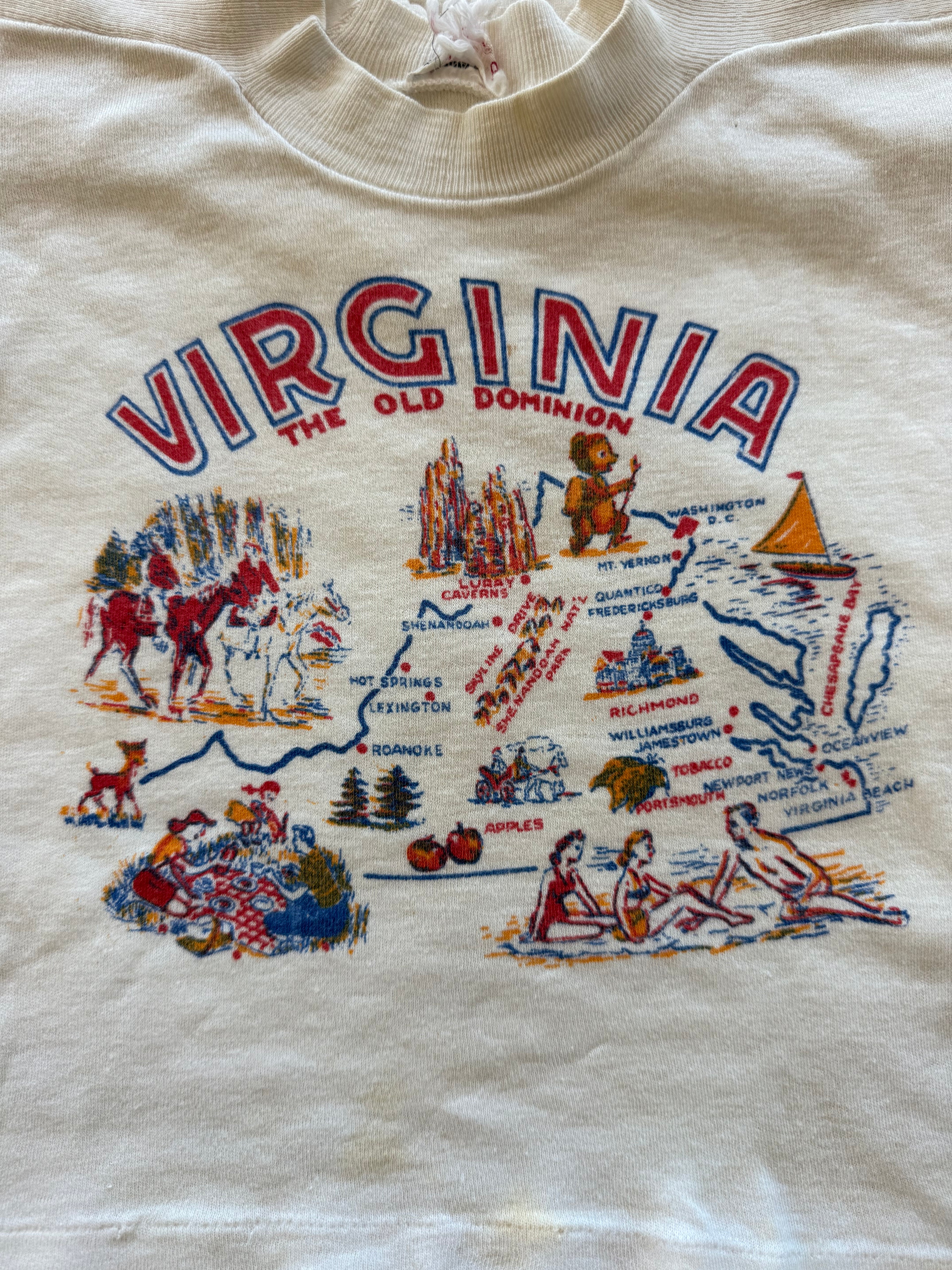 1960s virginia souvenir tee