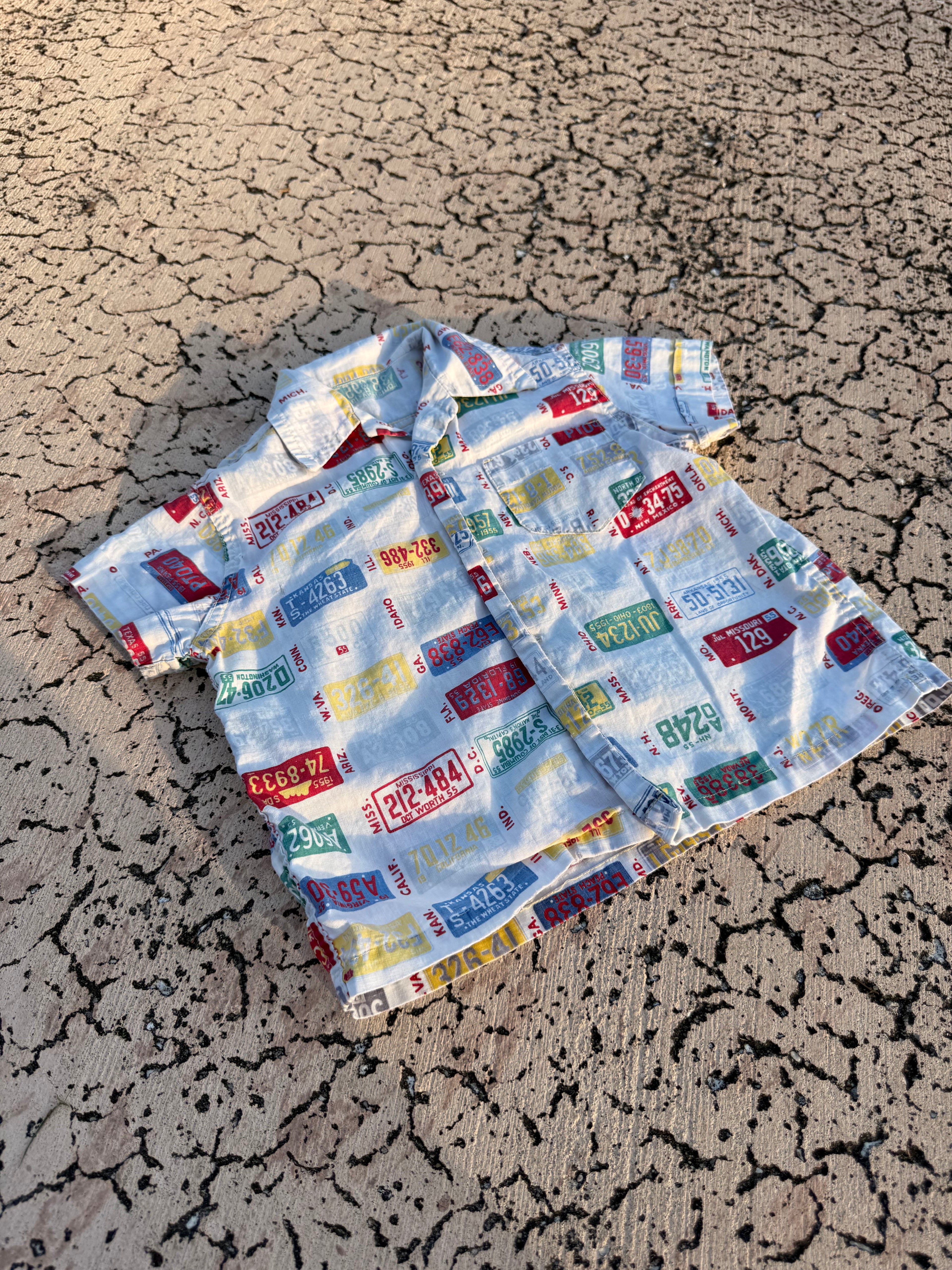 1960s license plate button down