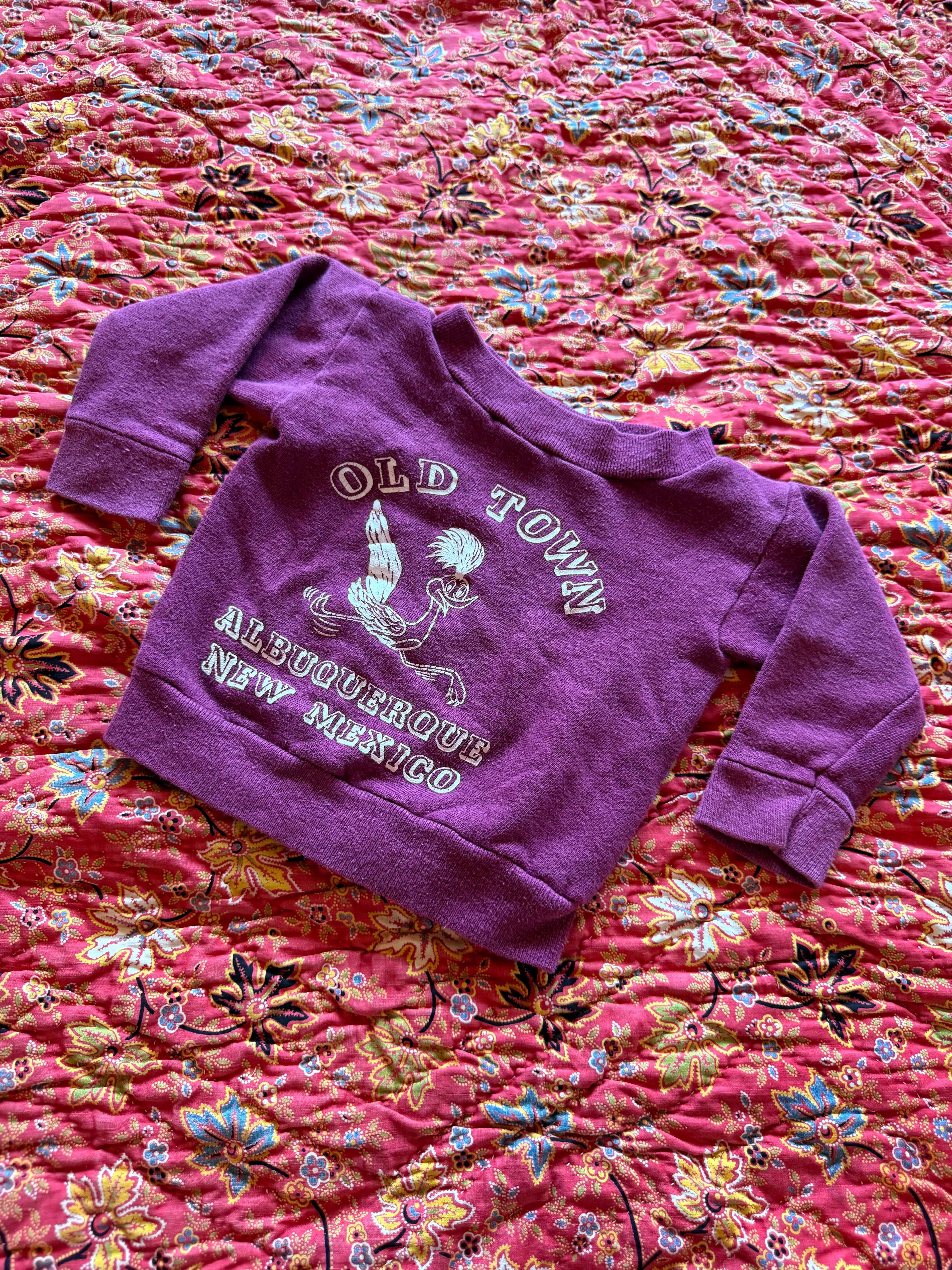 1970s road runner albuquerque new mexico souvenir sweatshirt