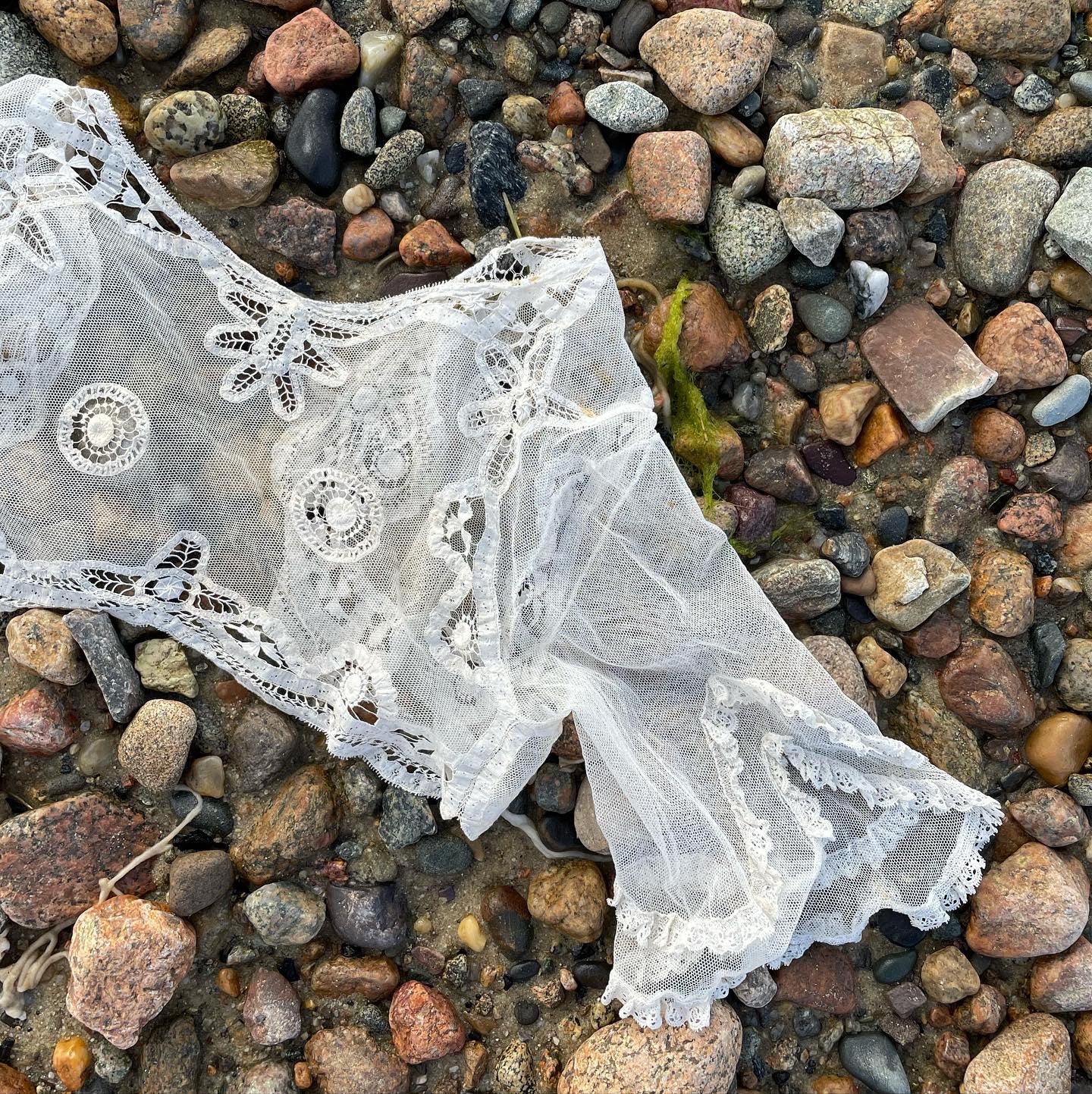 1900s lace shrug jacket