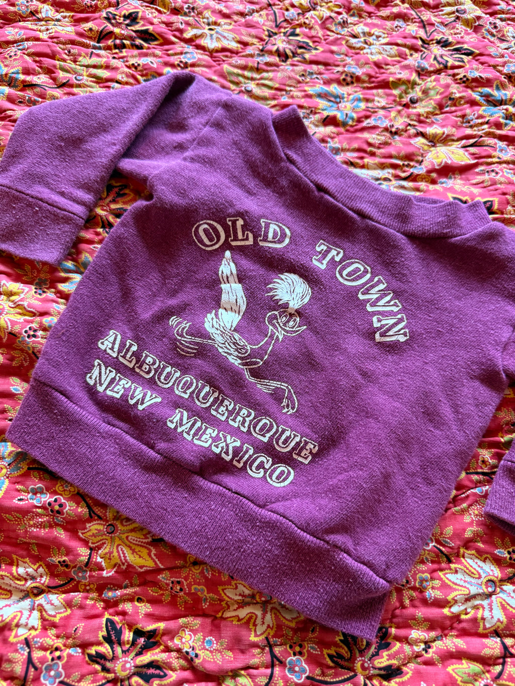 1970s road runner albuquerque new mexico souvenir sweatshirt