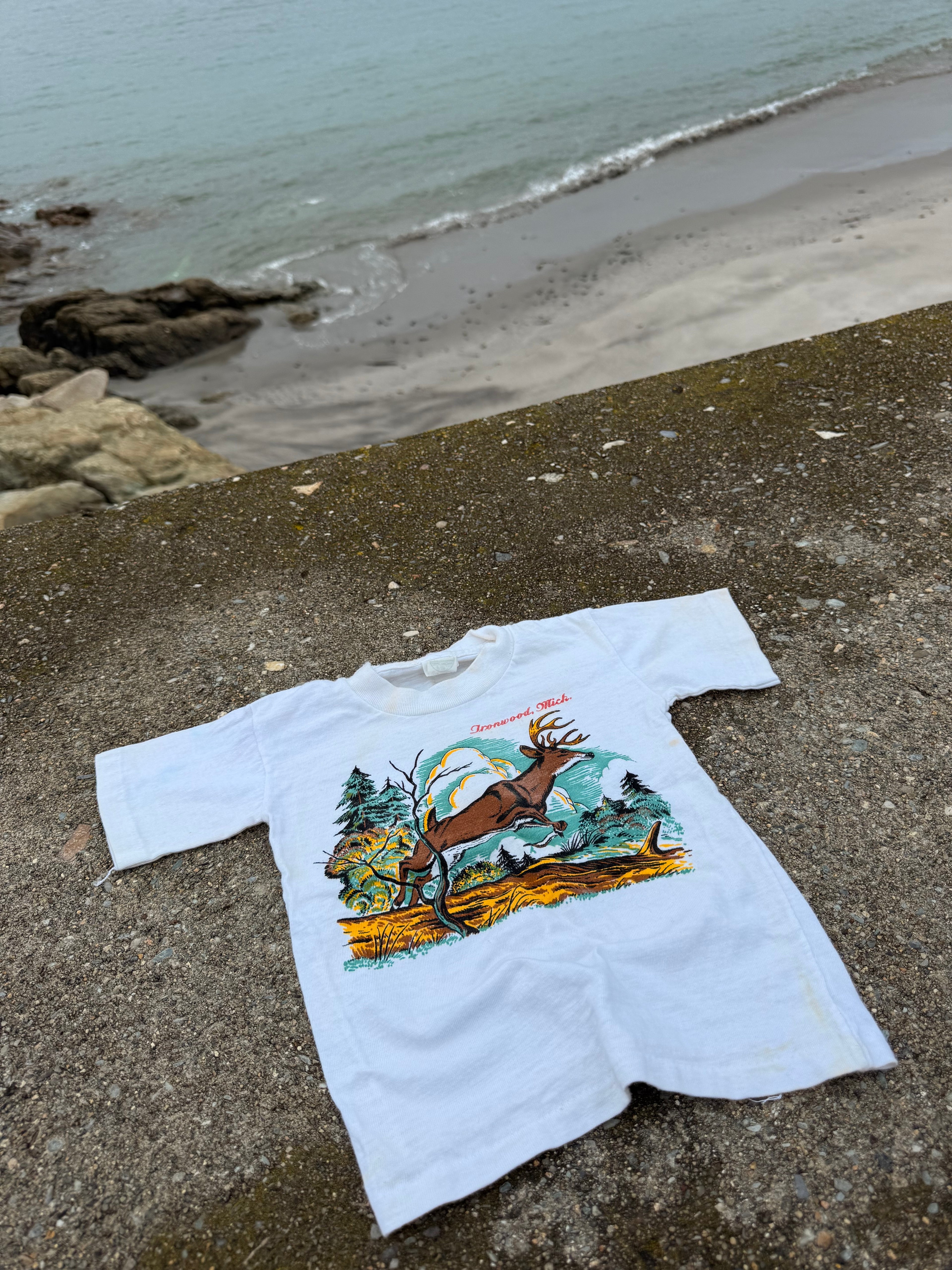 1950s ironwood michigan souvenir tee