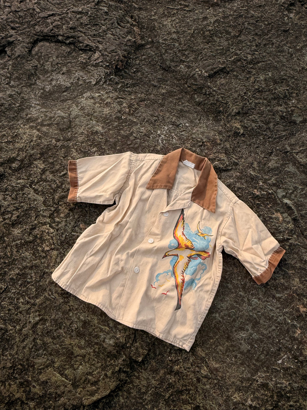 1960s seagull buttondown