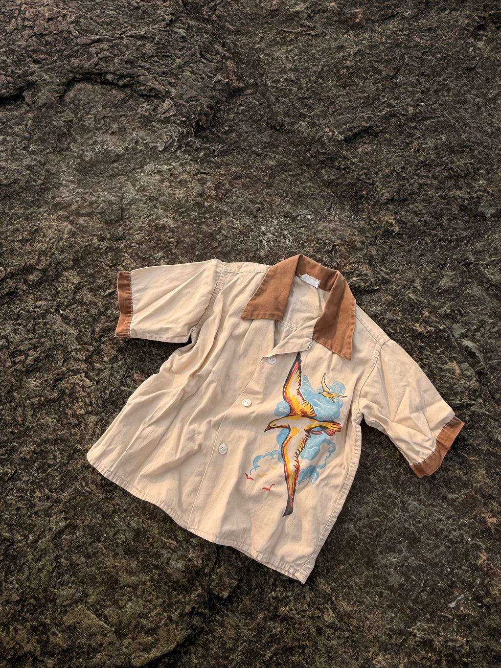 1960s seagull buttondown