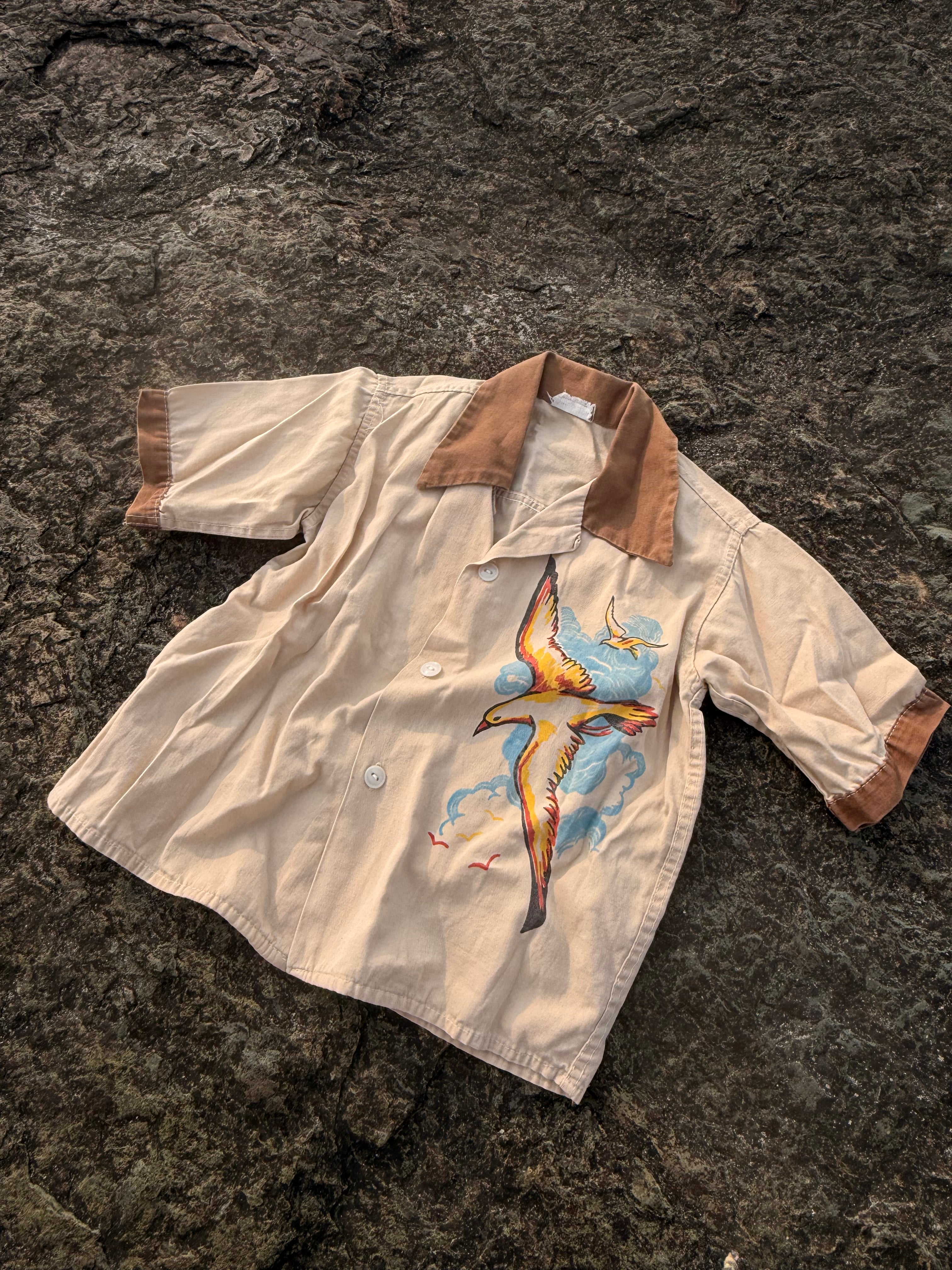 1960s seagull buttondown