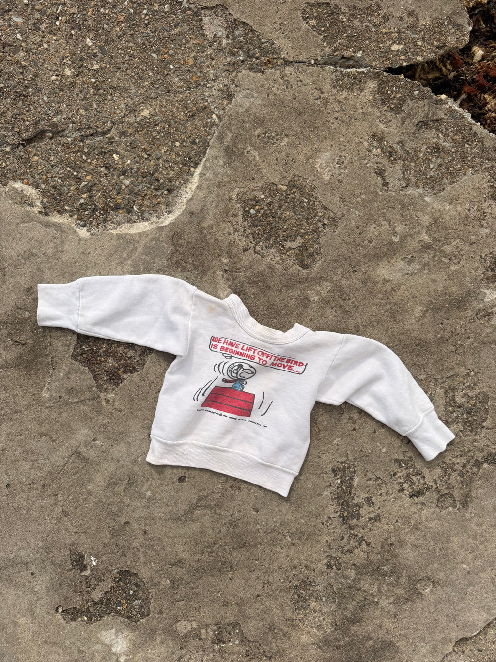 1960s norwich snoopy sweatshirt