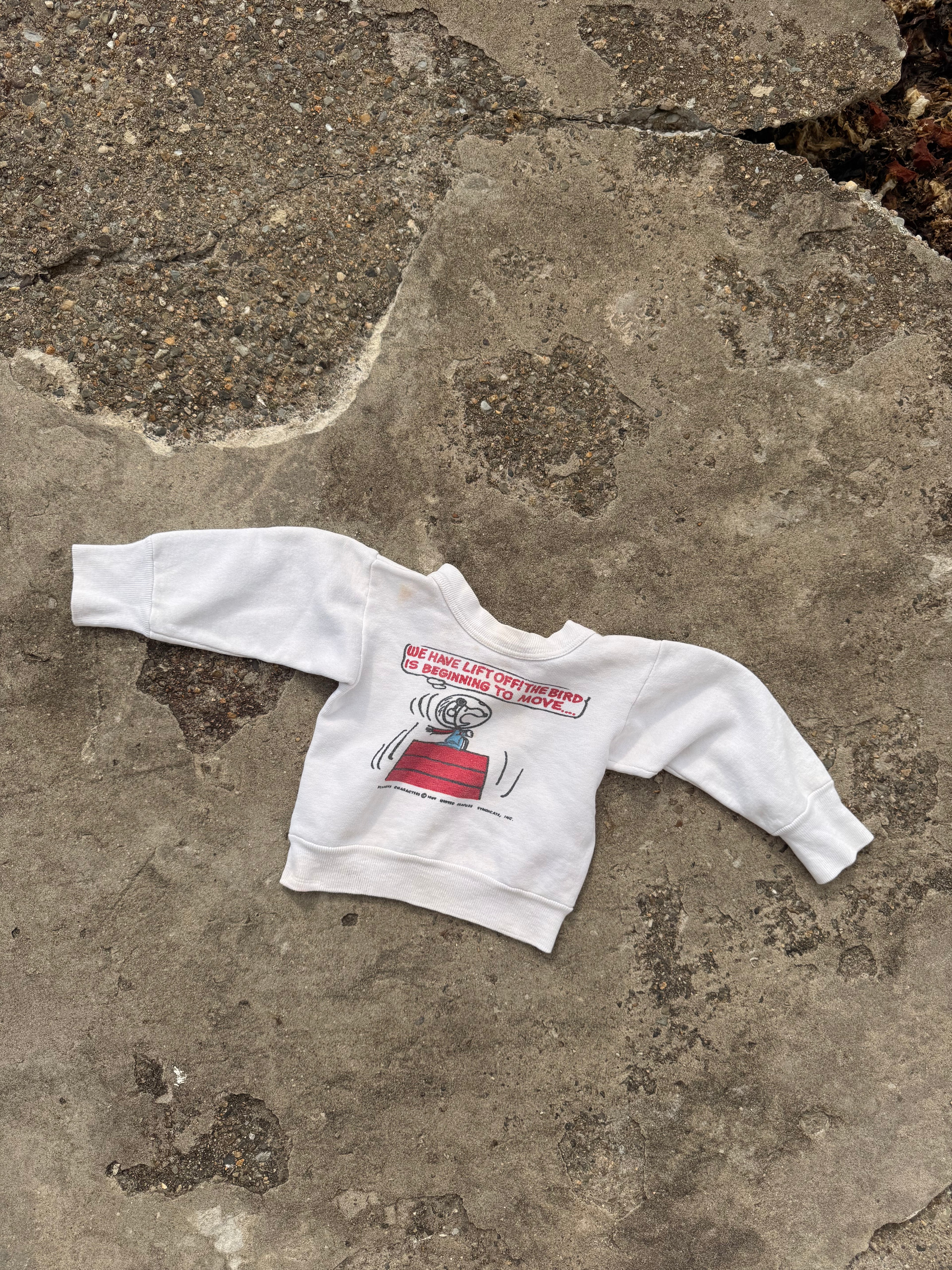 1960s norwich snoopy sweatshirt