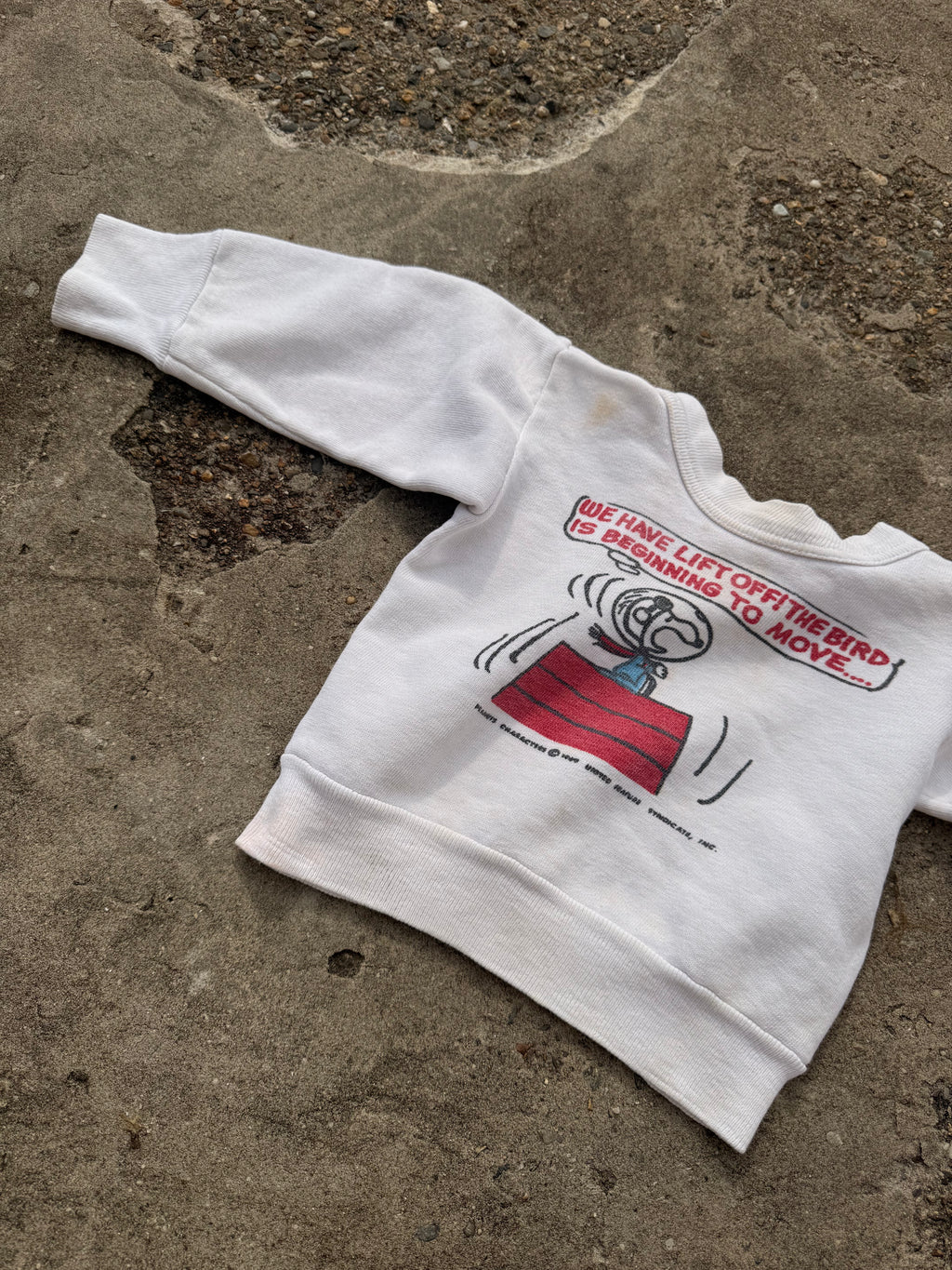 1960s norwich snoopy sweatshirt