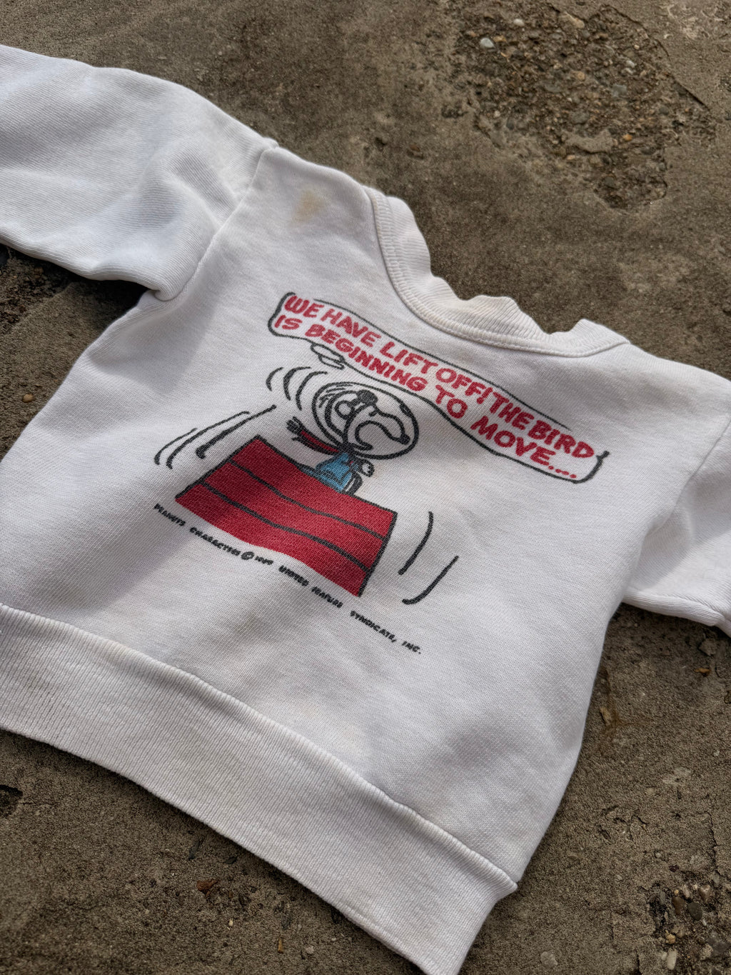 1960s norwich snoopy sweatshirt