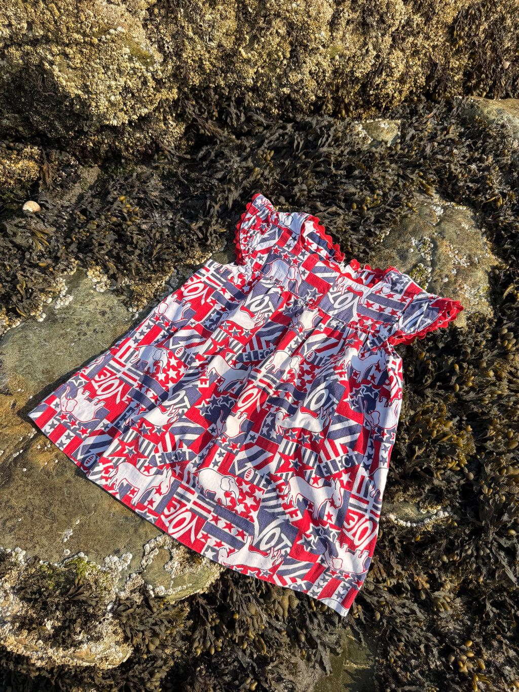 1960s vote dress