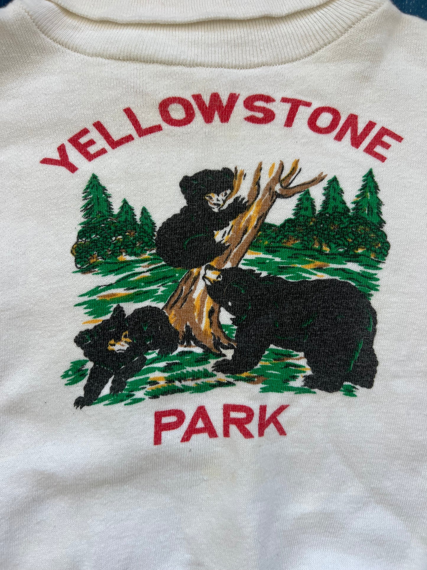 1950s yellowstone sweatshirt