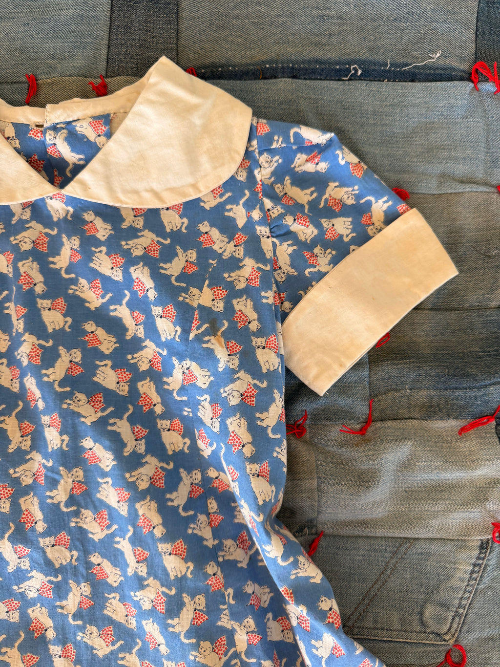 1940s blue kitten set